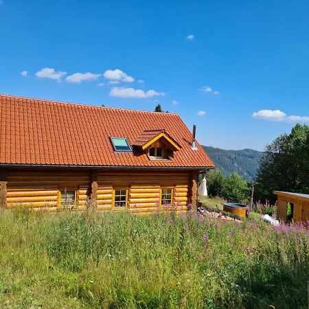 Luxus-Ferienhaus Blockhaus Chalet Nr 2 Toplage am Feldberg mit Sauna, Outdoor-Hottub, Kamin auf 1300m üM Exterior foto